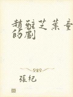 赵雅芝叶童合作的剧