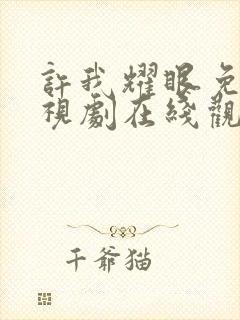 许我耀眼免费电视剧在线观看