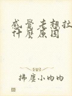 感觉老想拉尿是什么原因