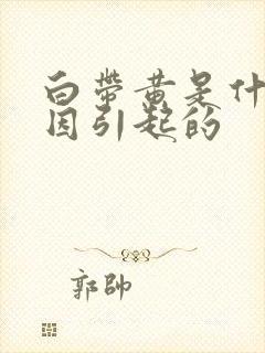 白带黄是什么原因引起的