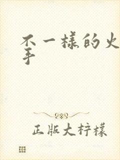 不一样的火影纲手封面