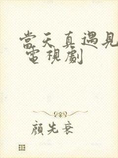 当天真遇见爱情 电视剧封面