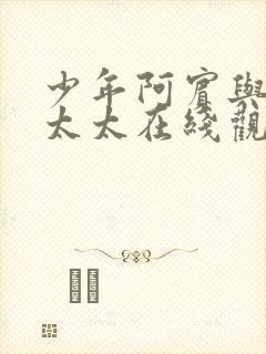 少年阿宾与房东太太在线观看