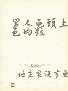 男人龟头上有白色肉粒