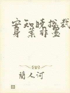 安知晓总裁的替身 叶非墨封面