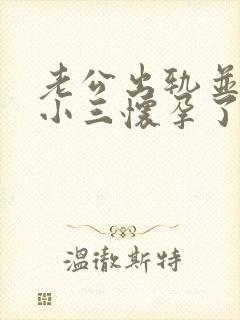 老公出轨并且和小三怀孕了我该怎么办封面