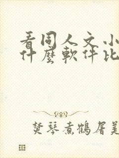 看同人文小说用什么软件比较好