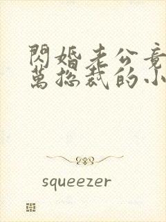 闪婚老公竟是亿万总裁的小说