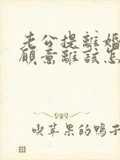 老公提离婚我不愿意离该怎样处理