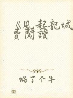 《风起龙城》免费阅读封面