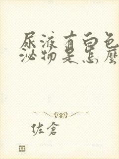 尿液有白色的分泌物是怎么回事