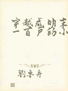 穿越成明末边军一百户的小说