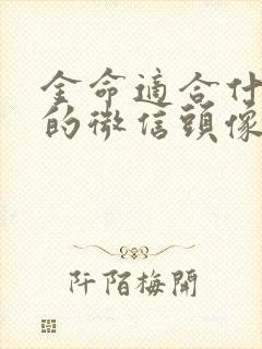 金命适合什么样的微信头像封面