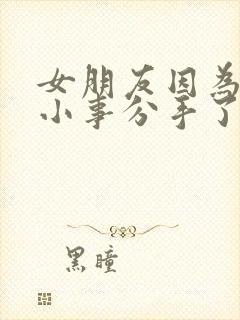 女朋友因为一些小事分手了怎么挽回