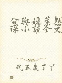 公与媳叶然严临琛小说全文免费阅读