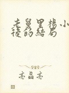 老舅里杨小姐最后的结局