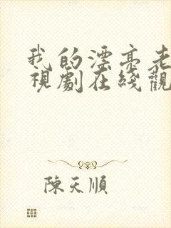 我的漂亮老师电视剧在线观看免费