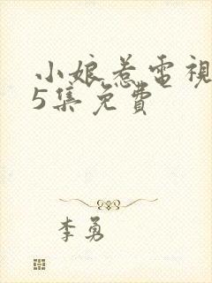 小娘惹电视剧45集免费