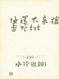 他还不来抢走我番外txt