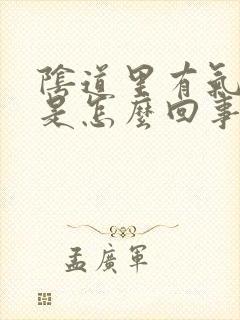 阴道里有气出来是怎么回事