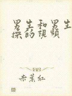 男生和男生互相操的视频封面