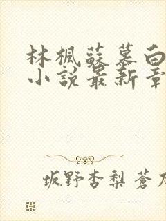 林枫苏慕白穿越小说最新章节更新完了吗