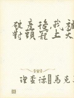 破产后,我被死对头宠上天小说版封面