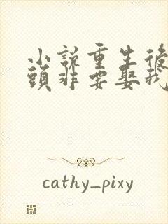 小说重生后死对头非要娶我全文阅读封面