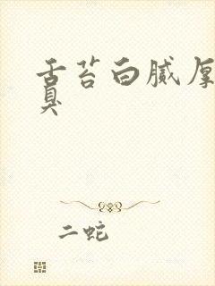 舌苔白腻厚有口臭