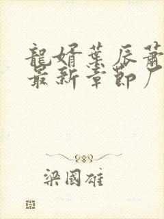 龙婿叶辰萧初然最新章节厂