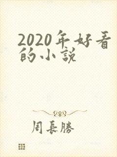 2020年好看的小说