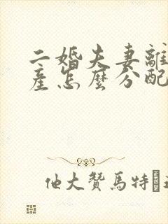 二婚夫妻离婚财产怎么分配的法律封面