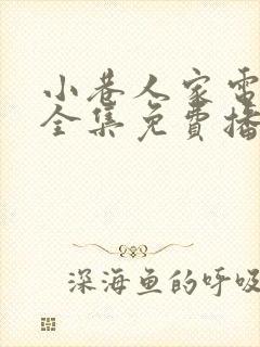 小巷人家电视剧全集免费播放