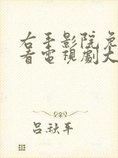 右手影院免费观看电视剧大全封面