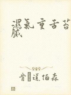 湿气重舌苔白厚腻