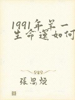 1991年羊一生命运如何