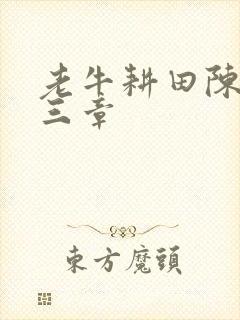 老牛耕田陈雪第三章