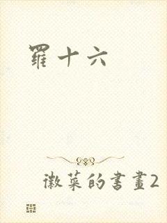 罗十六