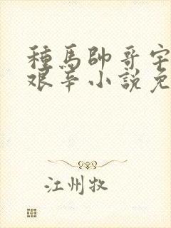 种马帅哥宇飞的艰辛小说免费阅读