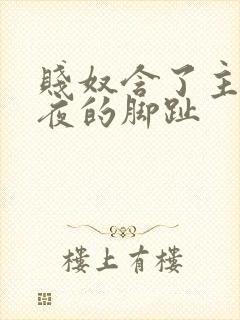 贱奴含了主人一夜的脚趾