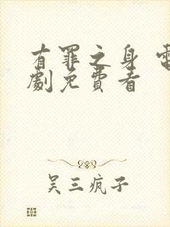 有罪之身 电视剧免费看