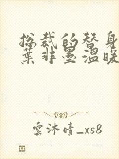 总裁的替身前妻叶非墨温暖全文免费阅读下载