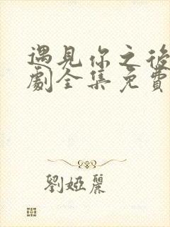 遇见你之后电视剧全集免费观看封面