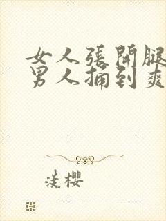 女人张开腿 让男人捅到爽