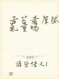 舌苔黄厚腻是湿气重吗