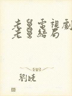 老舅电视剧最后老舅结局