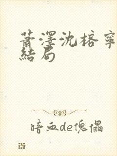 萧泽沈榕宁番外结局