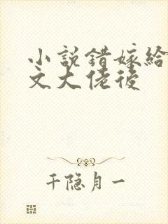 小说错嫁给年代文大佬后