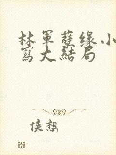 林军孽缘小说续写大结局