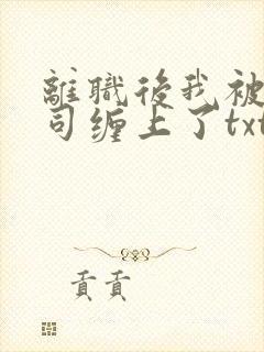 离职后我被前上司缠上了txt全本封面